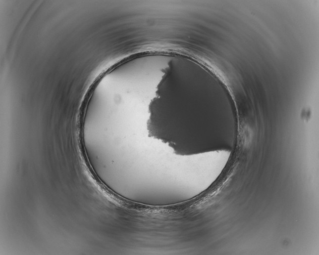 X0000089921045200707201814