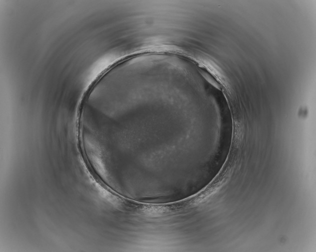 X0000089921046200707201814