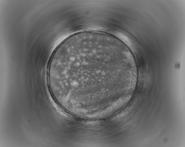 X0000089921047200707201814