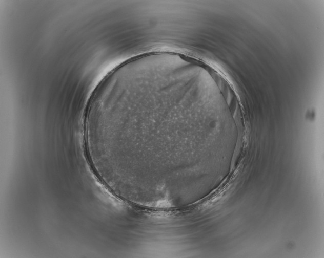 X0000089921048200707201814