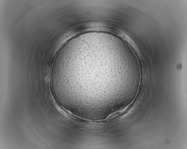 X0000089921049200707201814