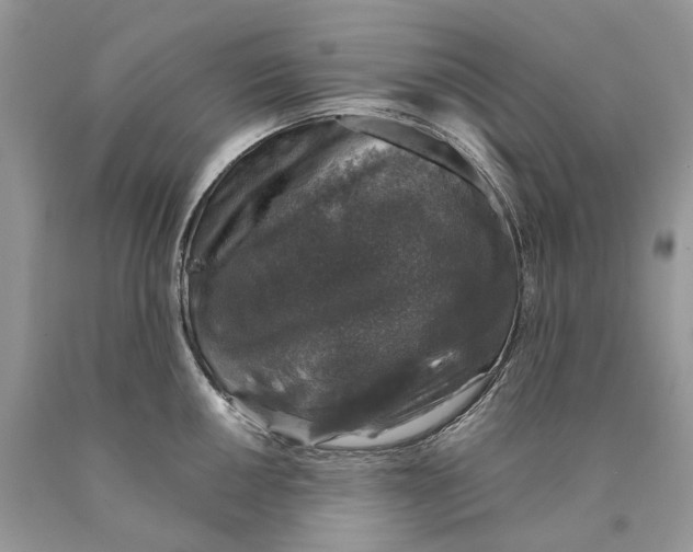 X0000089921050200707201814