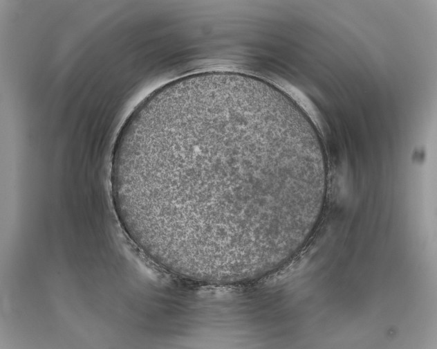 X0000089921051200707201814