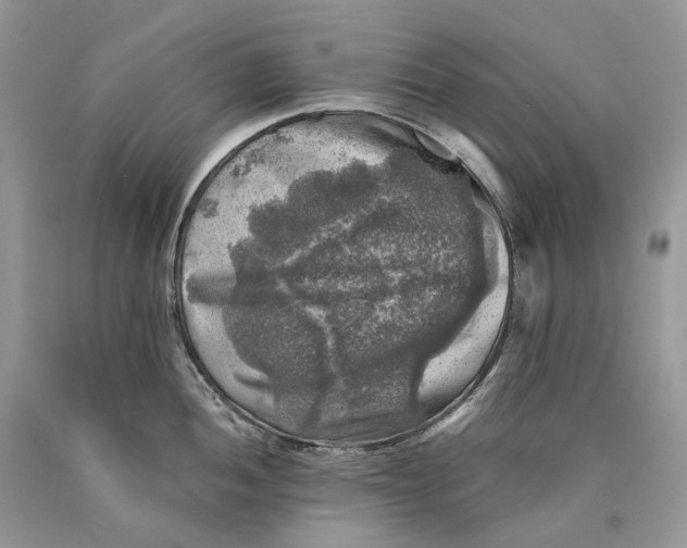 X0000089921052200707201814