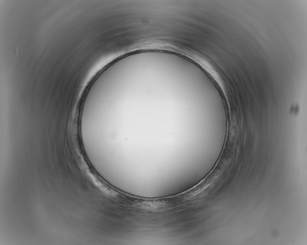 X0000089921053200707201814
