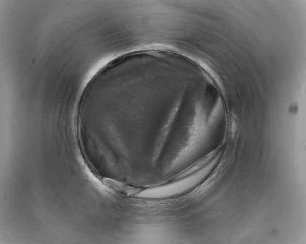 X0000089921054200707201814