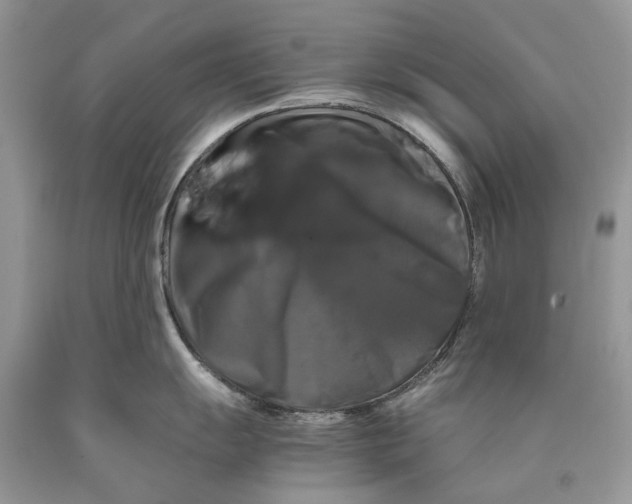 X0000089921055200707201814