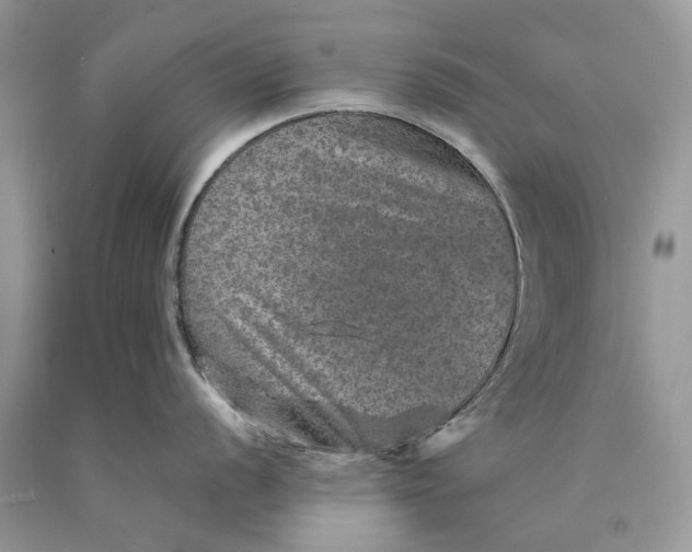 X0000089921056200707201814