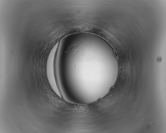 X0000089921058200707201813