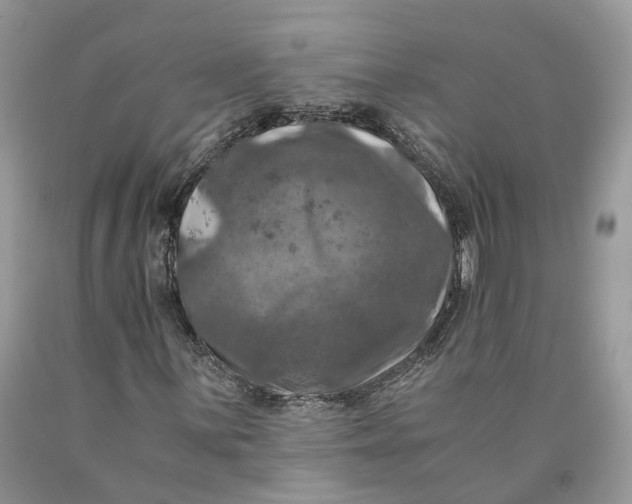 X0000089921059200707201813