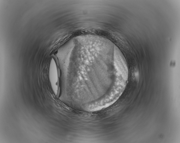 X0000089921060200707201813