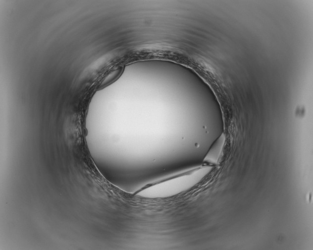 X0000089921062200707201813