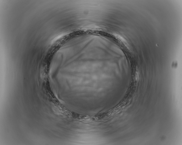 X0000089921063200707201813