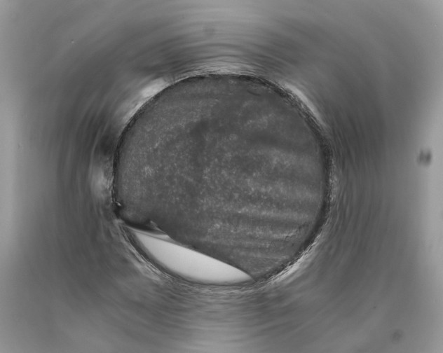 X0000089921065200707201813