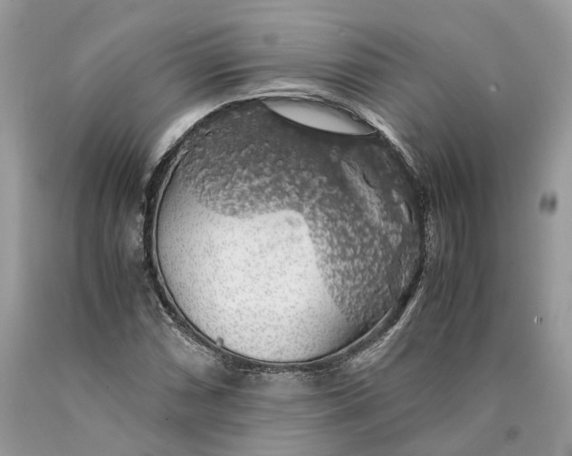 X0000089921066200707201813