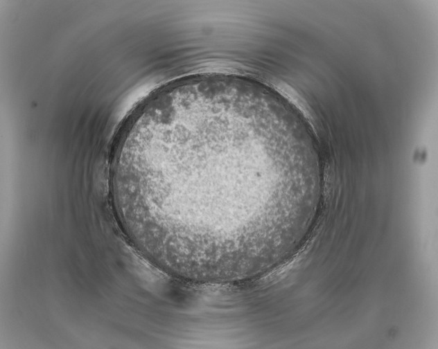 X0000089921067200707201813