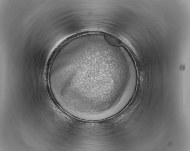 X0000089921068200707201813