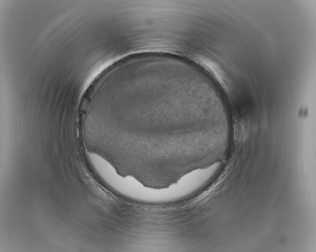 X0000089921069200707201813