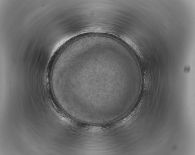 X0000089921070200707201813