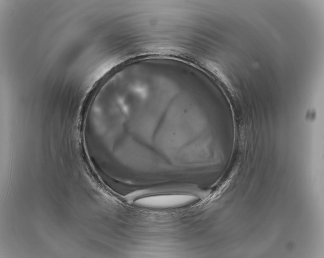 X0000089921071200707201813