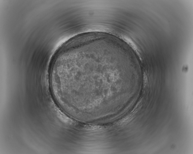 X0000089921072200707201813