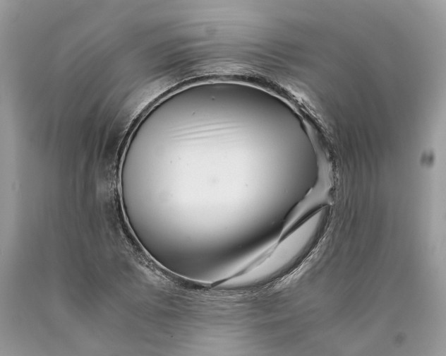 X0000089921073200707201813