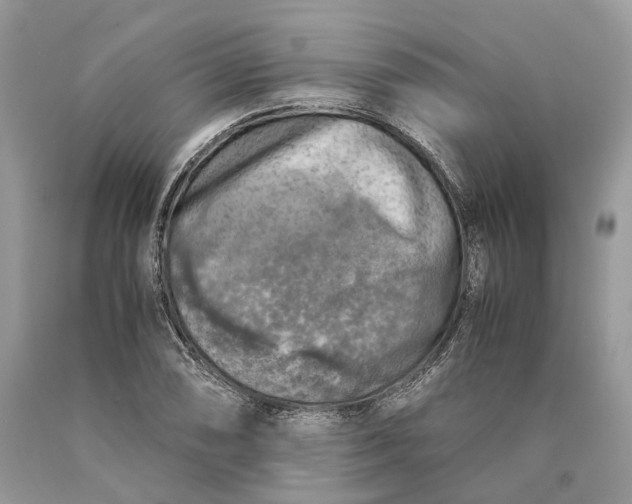 X0000089921074200707201813