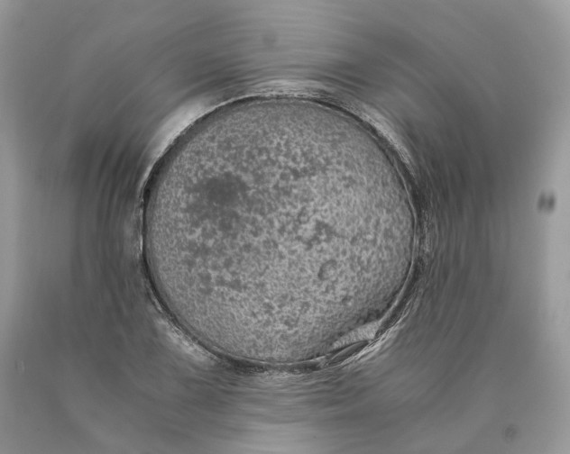 X0000089921075200707201813