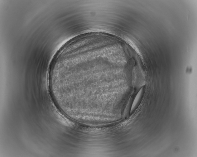 X0000089921076200707201813