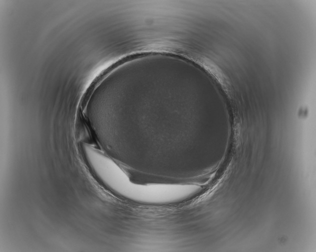 X0000089921077200707201813