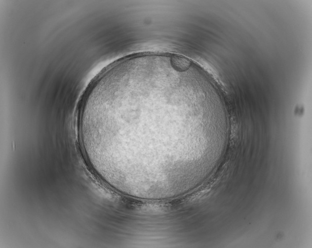 X0000089921078200707201813