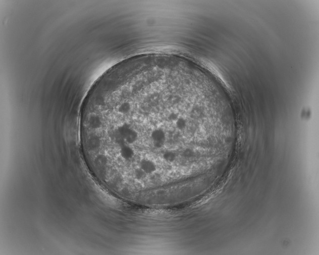 X0000089921079200707201813