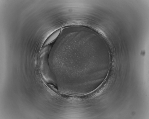 X0000089921081200707201813