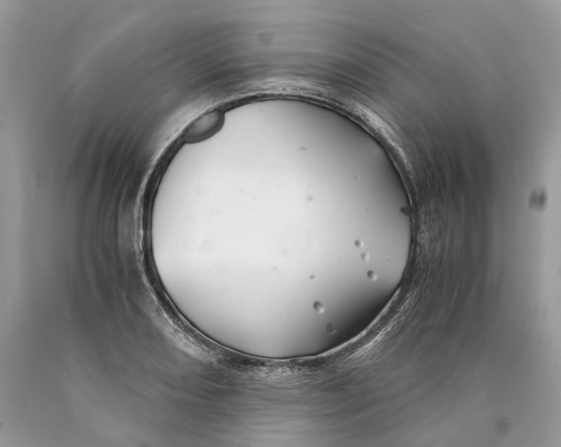 X0000089921082200707201813
