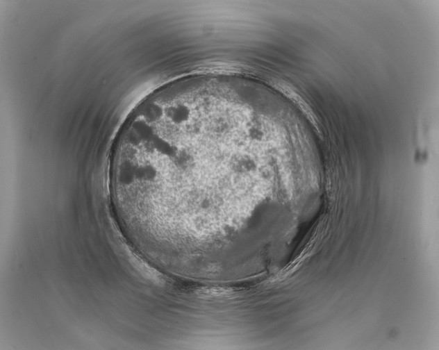X0000089921083200707201813