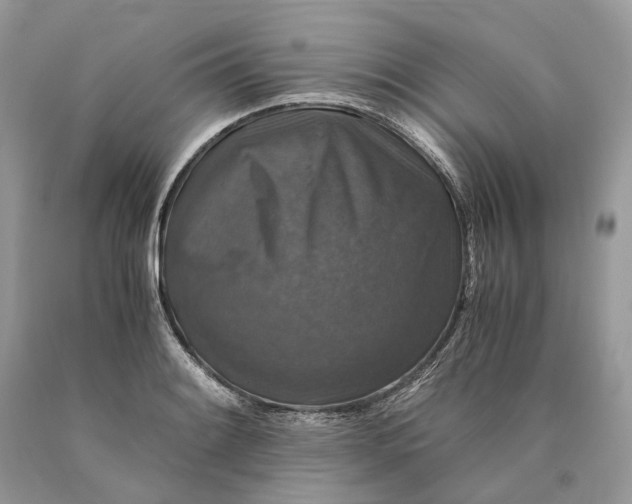 X0000089921084200707201813