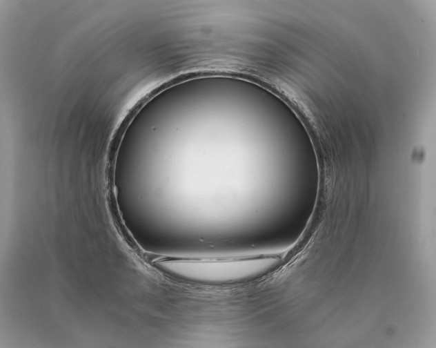 X0000089921085200707201813
