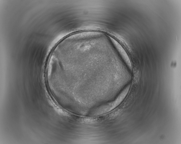 X0000089921086200707201813