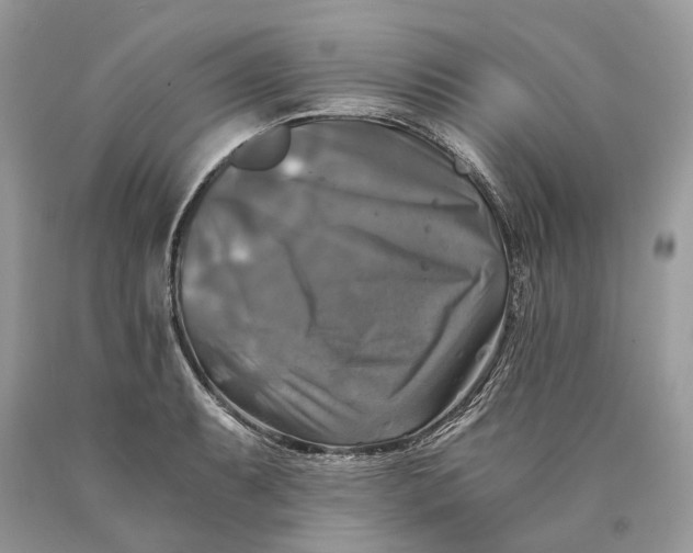 X0000089921087200707201813