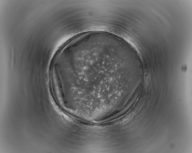X0000089921088200707201813