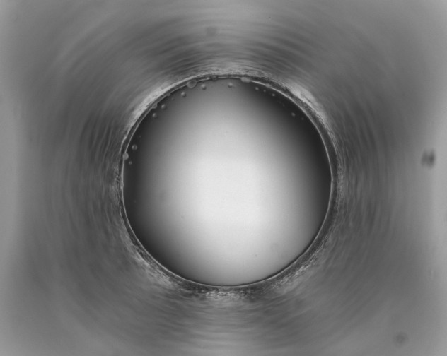 X0000089921089200707201813