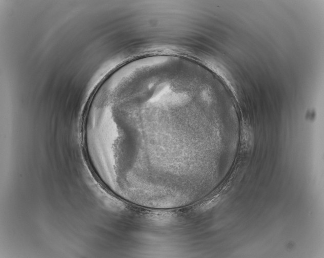 X0000089921090200707201812