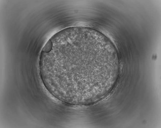 X0000089921091200707201812