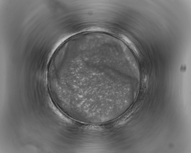 X0000089921092200707201812
