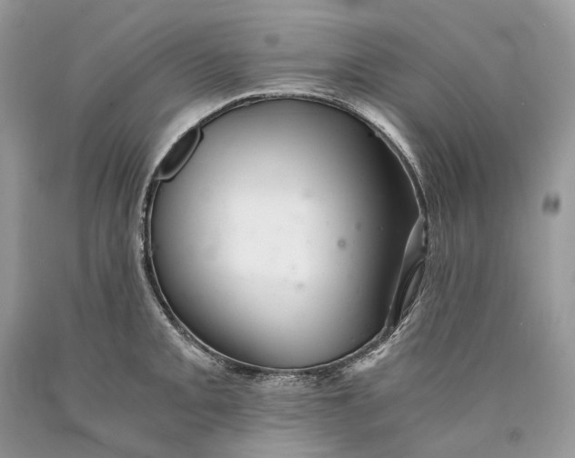 X0000089921093200707201812