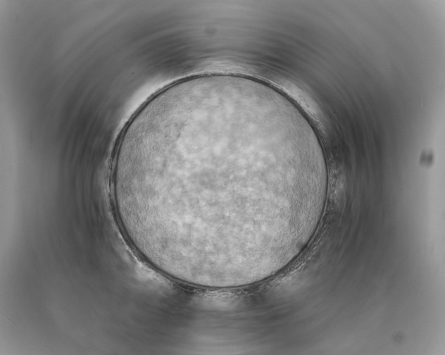X0000089921094200707201812