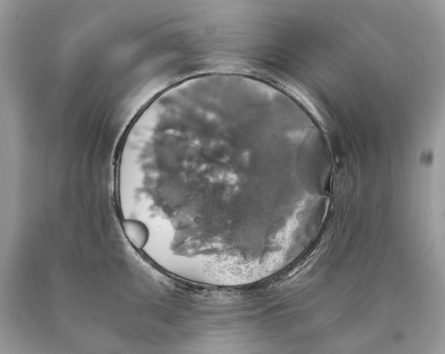 X0000089921095200707201812
