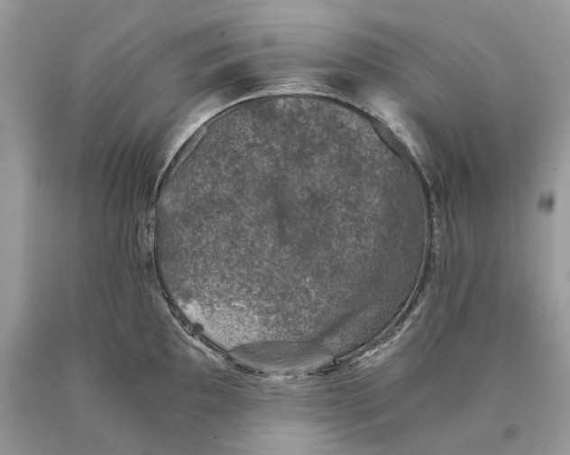 X0000089921097200707201812