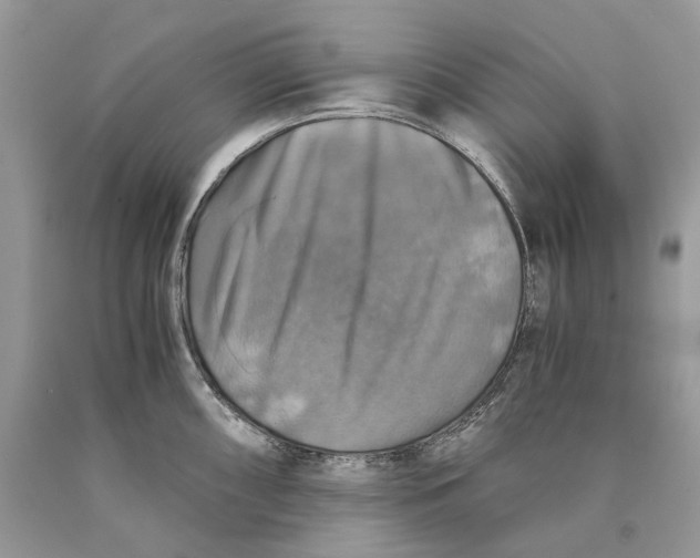 X0000089921098200707201812