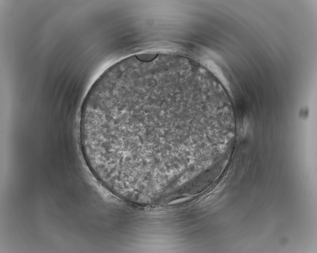 X0000089921099200707201812